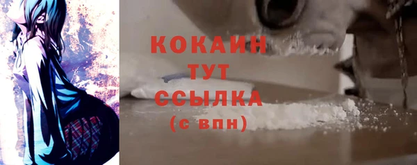 твердый Армянск