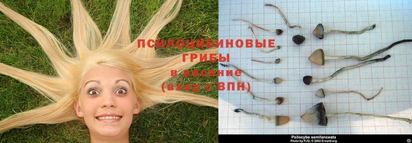 кокаин премиум Алексеевка