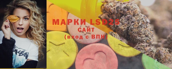 прущий лед Аркадак